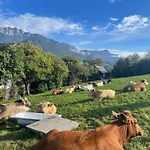 Unterfuchs