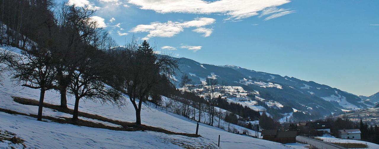 Unterfuchs * Schladming
