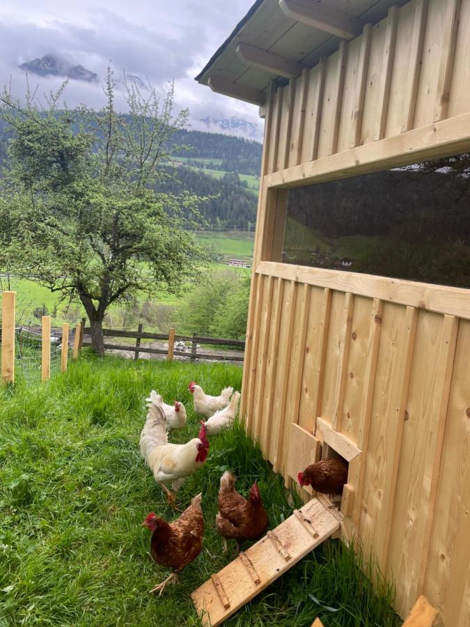 Apartamento Unterfuchs *