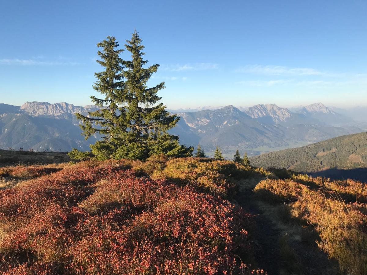 Unterfuchs Schladming