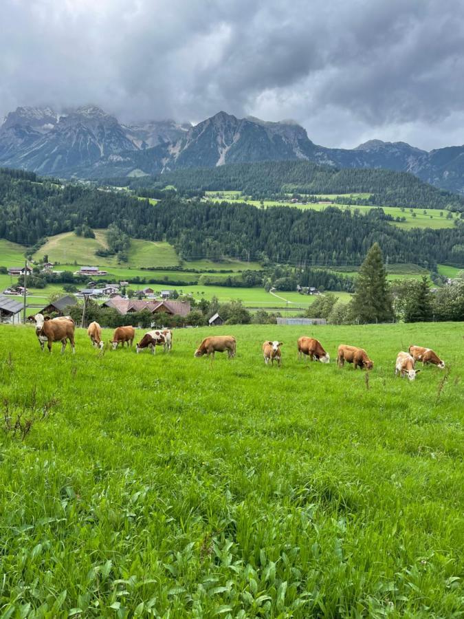 Apartamento Unterfuchs *