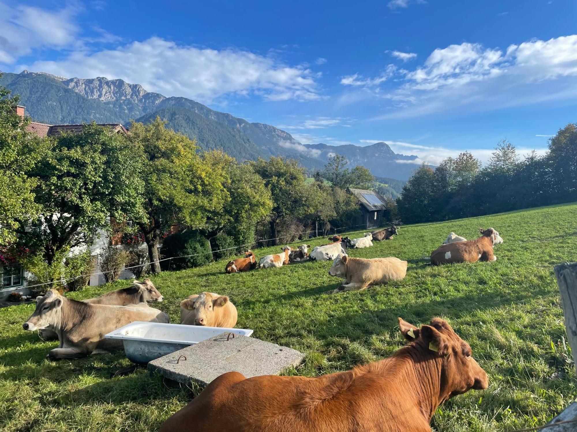 Unterfuchs Apartamento Schladming