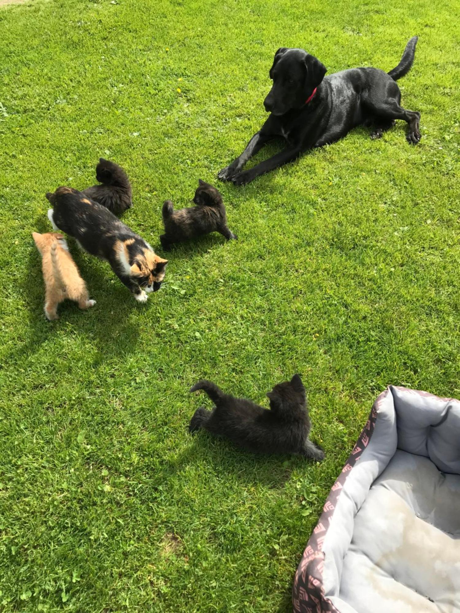 Apartamento Unterfuchs
